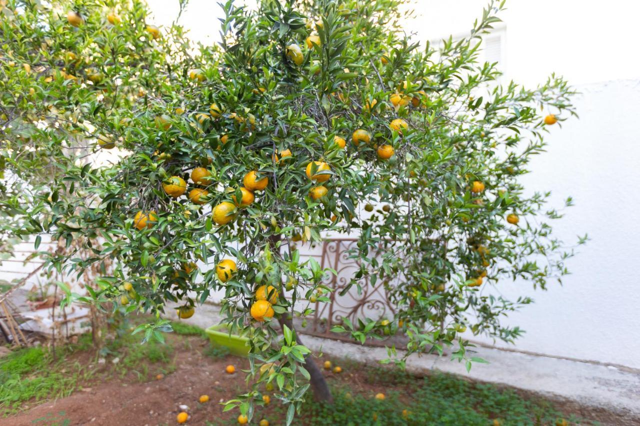 Laila'S Cozy Garden House & Studio Larnaca Exterior photo