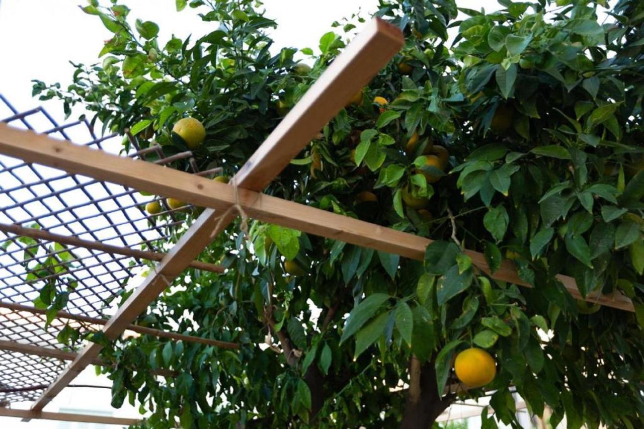 Laila'S Cozy Garden House & Studio Larnaca Exterior photo